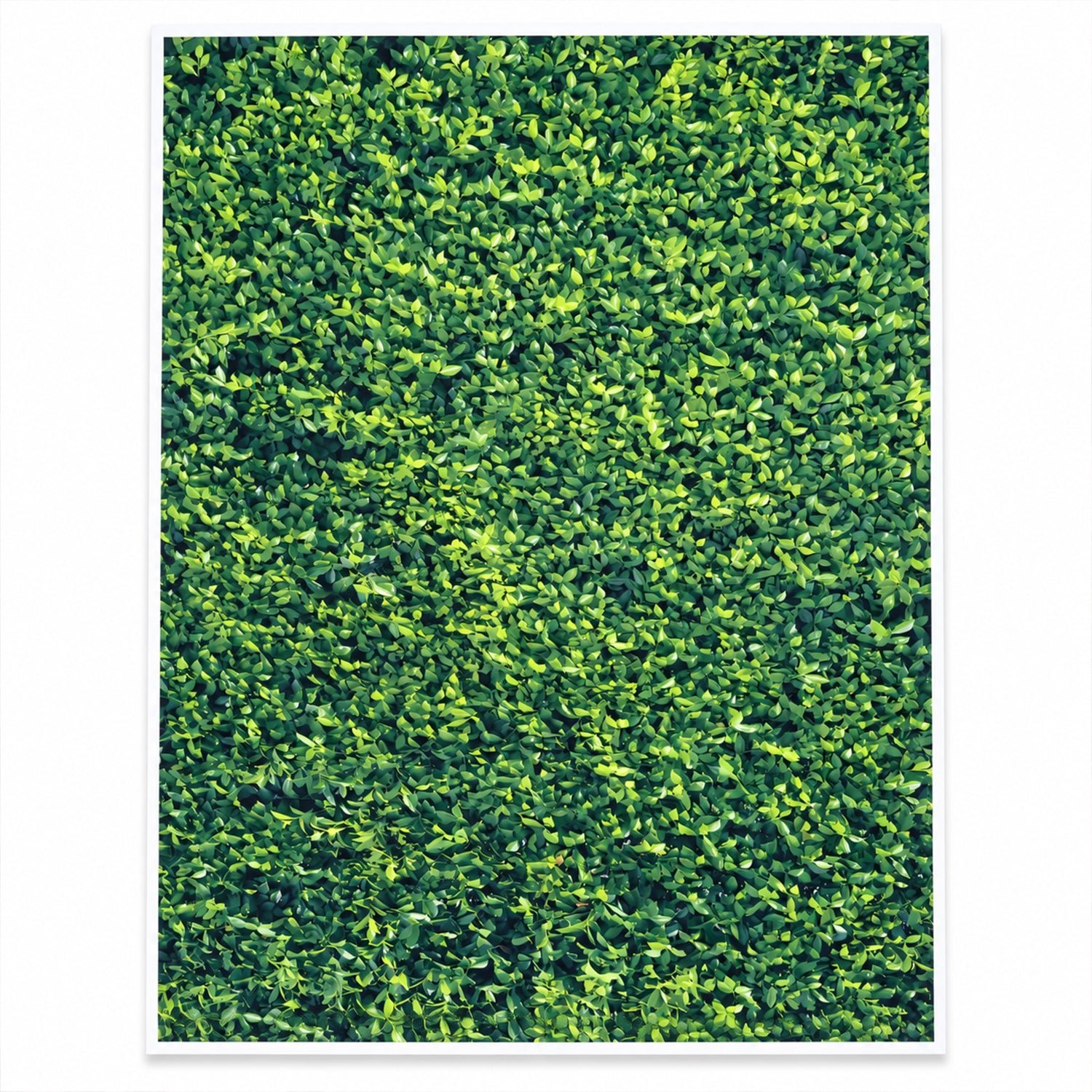 Leaf Print Photography Backdrop (100x75 Cm) - Image 5